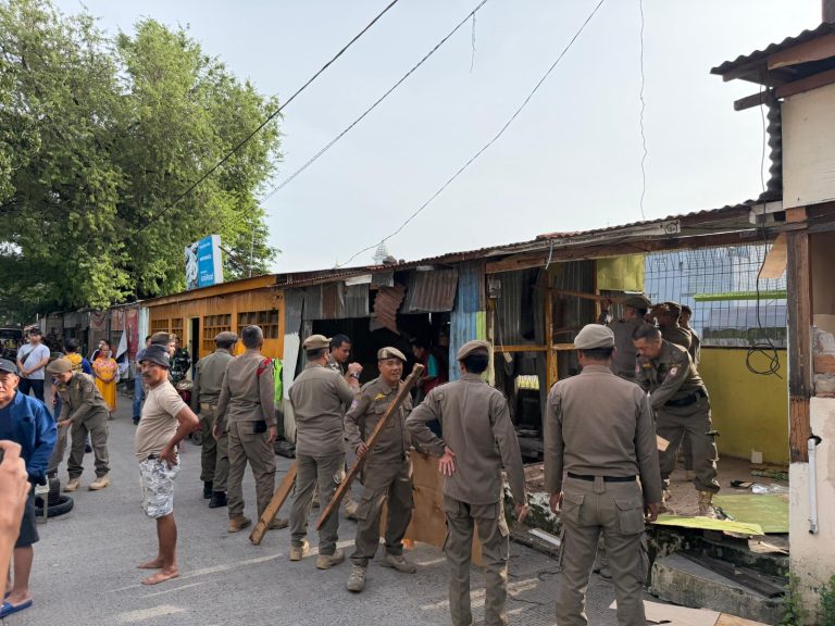 WhatsApp Image 2026-02-17 at 11.13