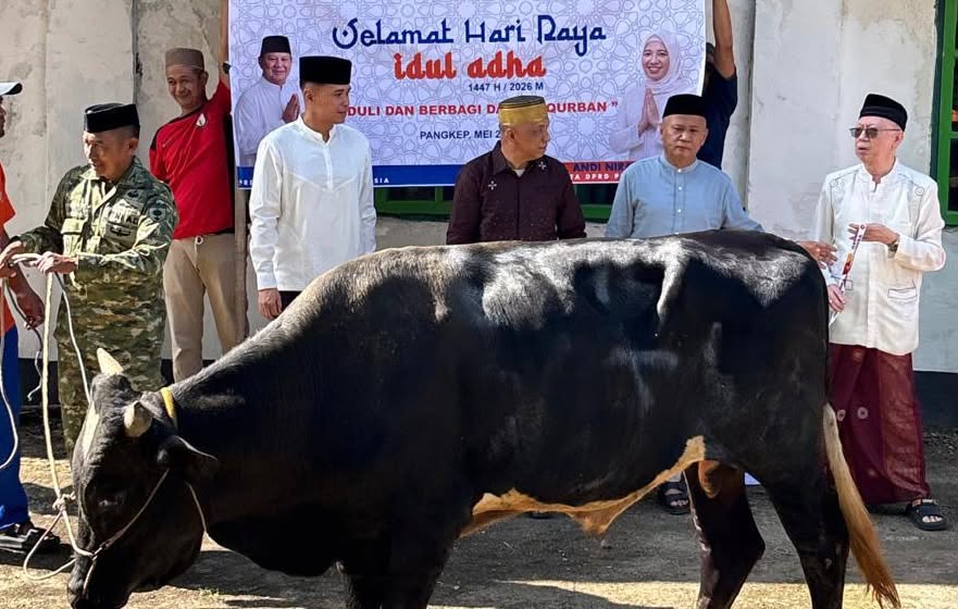 Jamal Mirdad: Gerindra Pangkep Sembelih 8 Ekor Sapi Qurban untuk Masyarakat.