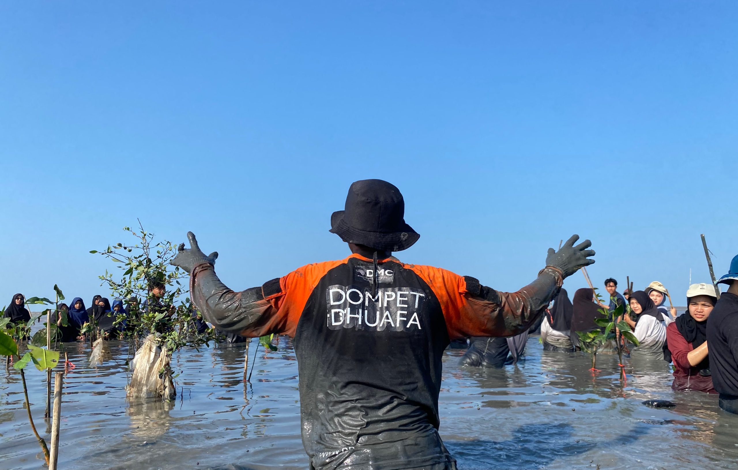 DDV Chapter Cirebon Gelar Aksi Penanaman 500 Mangrove di Pesisir Desa Mertasinga Bersama Berbagai Mitra Kolaborasi