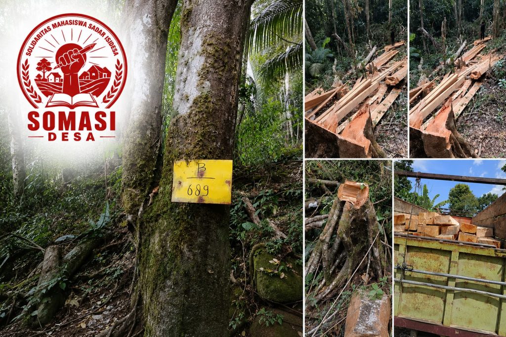 Somasi Desa Soroti Dugaan Penebangan Hutan di Parigi, Desak APH Bertindak Tegas