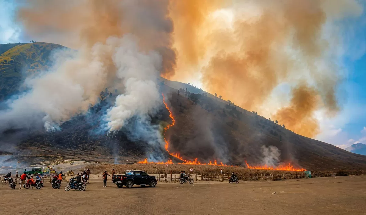 Kebakaran Gunung Bromo