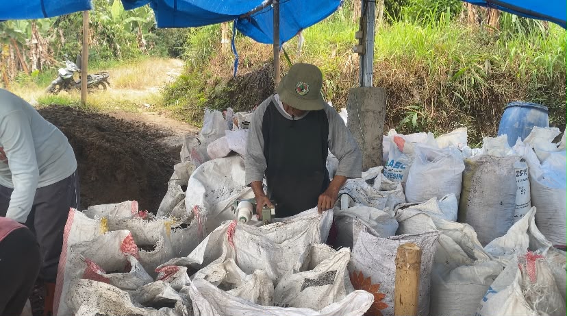 Pupuk Gemuk