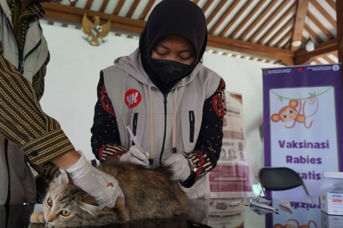 Vaksin Rabies