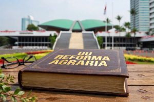 UU Reforma Agraria (Foto: Ilustrasi AI)